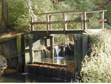 1-bridge (49K)