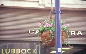 flowerbasket (10K)