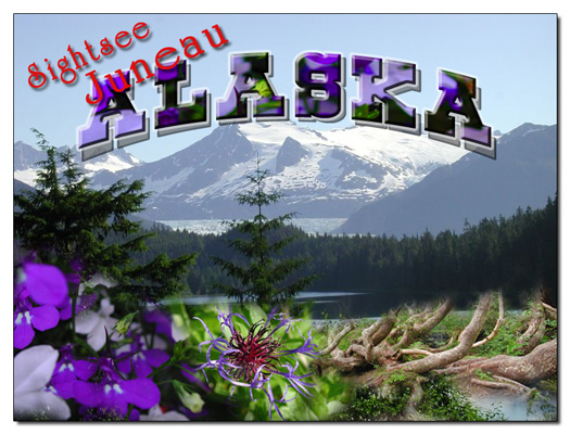 alaska-card