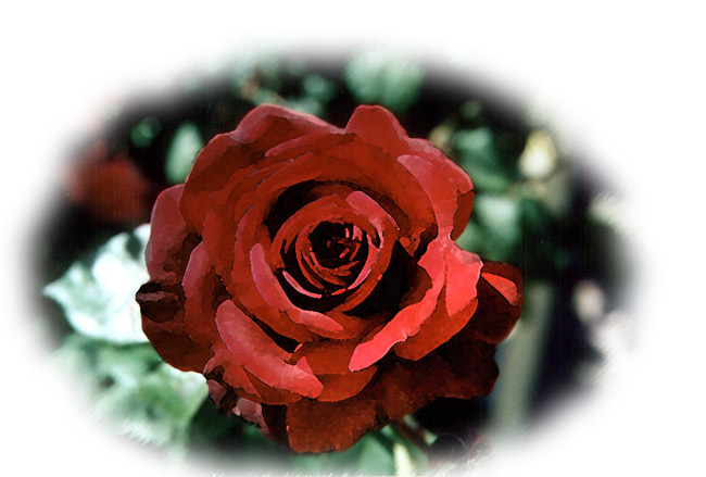 rose-exercise