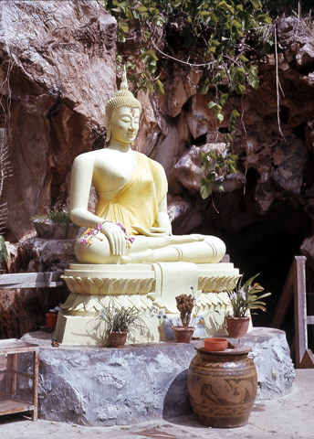 yellow-buddha-d&b$shp