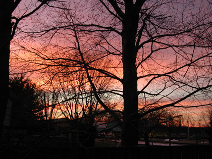 sunset