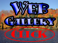 web-link (21K)