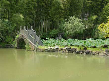 bridge_orig (21K)