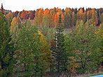 e9190
