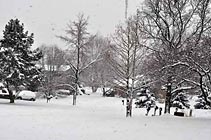 lg-winter-tn.jpg