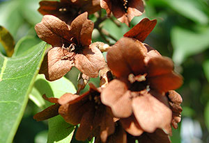 DSCN0733.jpg