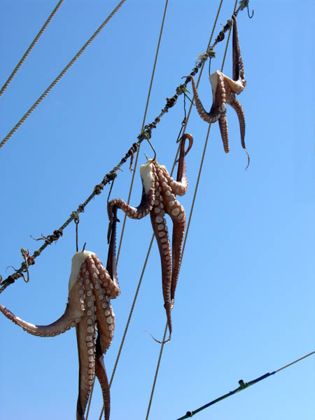 image-7.jpg