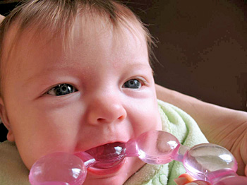 rowan-teething (35K)