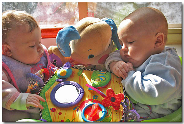 twins-studying (113K)
