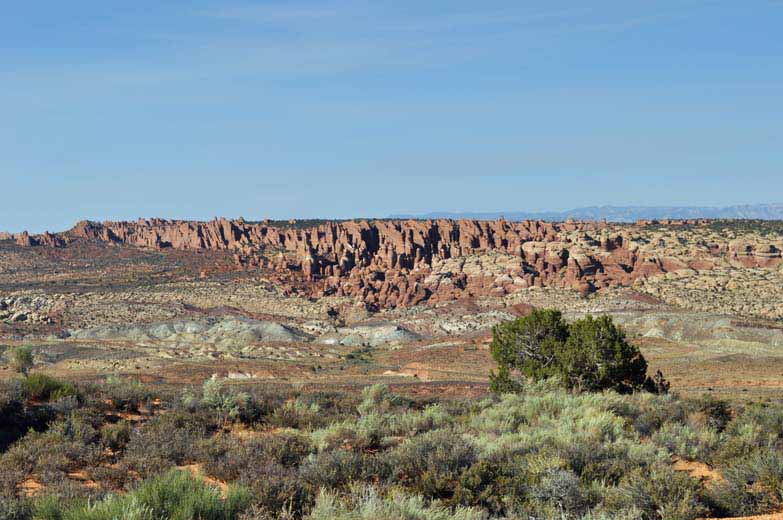 292-0550