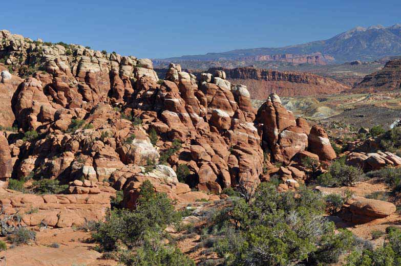 295-0553