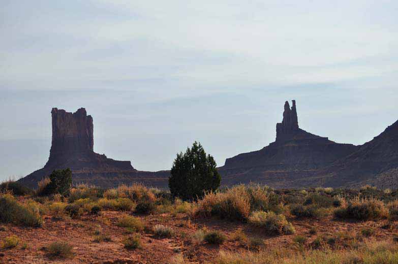300-0558