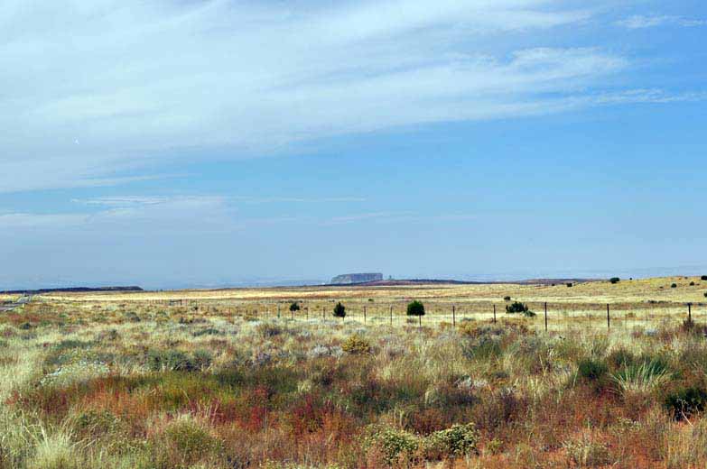 321-0586