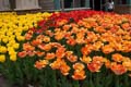 DSC_3916-tn.jpg