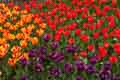 DSC_3924-tn.jpg