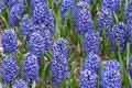 DSC_3941-tn.jpg