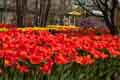 DSC_3954-tn.jpg